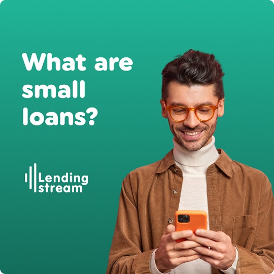 What are small loans